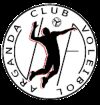 Voleibol Arganda - Infantil Amarillo