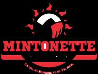 Mintonette Almería