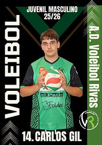 Carlos Gil Robles